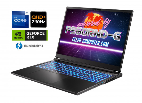 CLEVO PE60RND-G: Intel i9, NVIDIA RTX 4060, QHD+ 240Hz - Notebook for  Advanced Gamers and Professionals, CLEVO Computer
